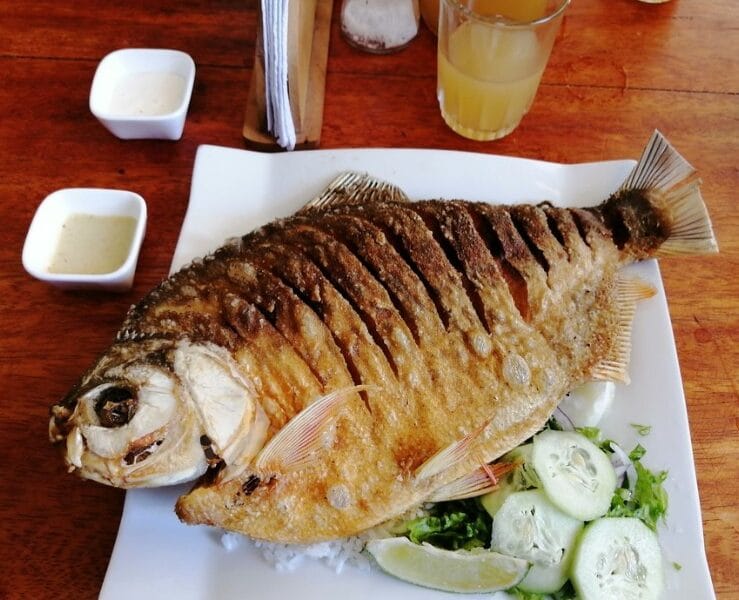 Paco Frito Quillabamba